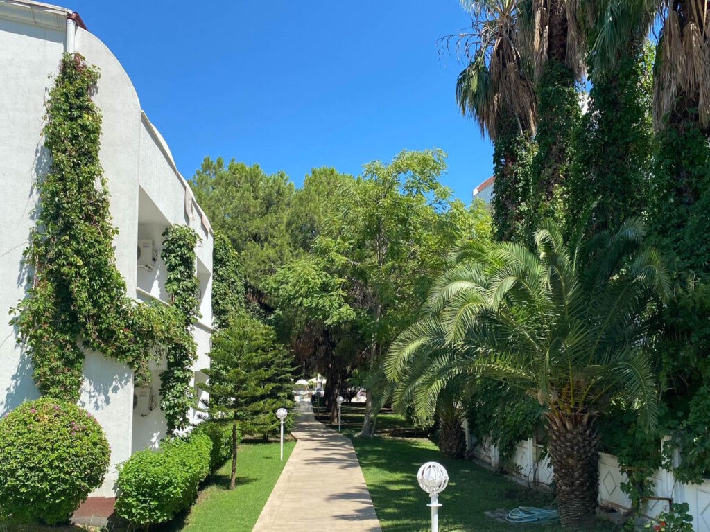 Alicante, miasto położone na słonecznym wybrzeżu Costa Blanca w Hiszpanii, to miejsce o niezwykłym uroku i klimacie